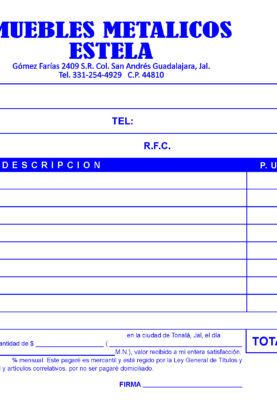 FORMATO PRESUPUESTO